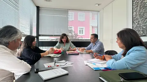 Reuni&oacute;n entre Elena Candia y representantes del Colexio de Arquitectos