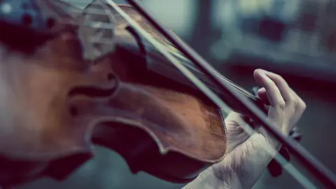 Viol&iacute;n, m&uacute;sica, concierto.