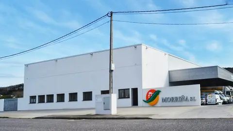 Frutas Morri&ntilde;a