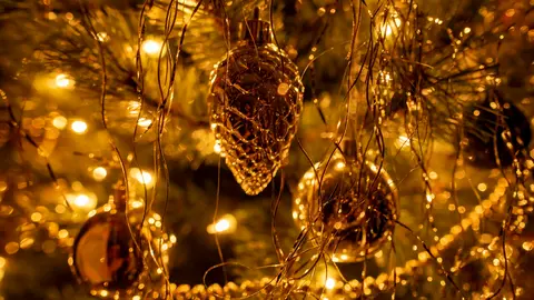 Navidad, &aacute;rbol, luces