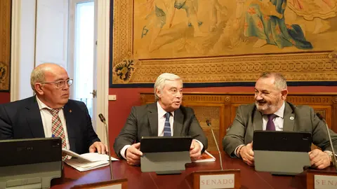 Serrano, Barreiro e Balseiro no Senado