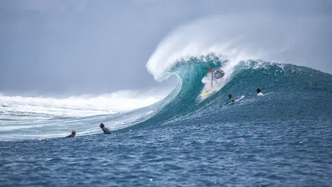 Surf Archivo