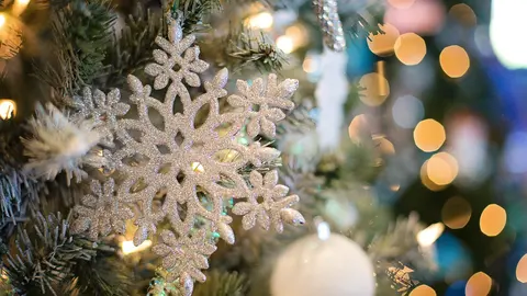 barreiros navidad