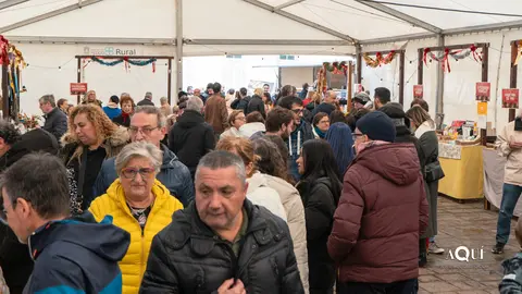 Mercadi&ntilde;o de Nadal de Barreiros (12)