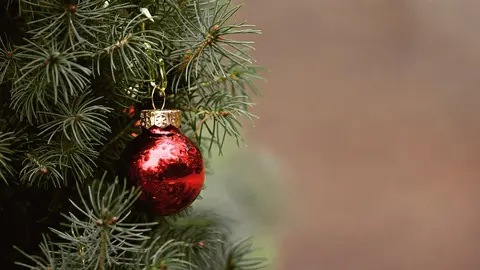 navidad arbol