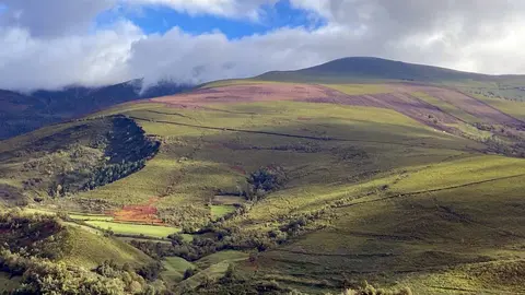 paisaje pastos