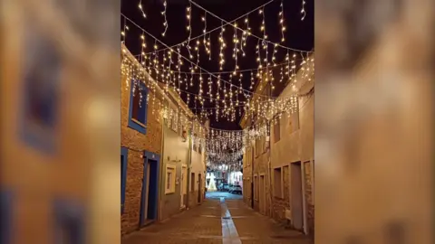 Piant&oacute;n Navidad