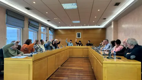 La adjudicaci&oacute;n del servicio de recogida de residuos urbanos de Vilalba fue aprobada en el pleno extraordinario