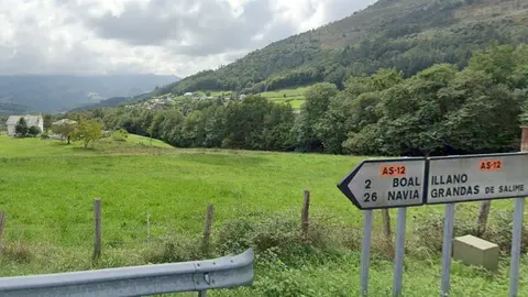 Navia corredor