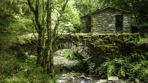 Terras de Bur&oacute;n
