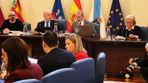 250225 Pleno Deputaci&oacute;n