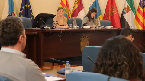 280225 Consello de Turismo da Deputaci&oacute;n