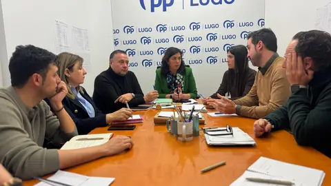 Reuni&oacute;n GMPP Lugo 2025.03.05