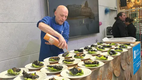 Merluza D& Burela, presente en el Galicia F&oacute;rum Gastron&oacute;mico