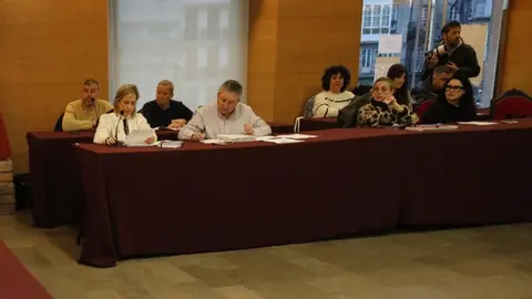 Imagen del pleno de Viveiro