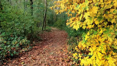 trail-8395089_1280