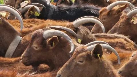 medio rural asturias