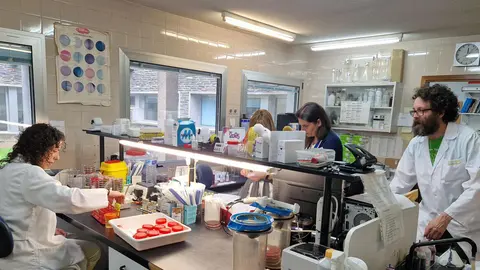 2025_05_15 laboratorio microbiologia 2 (1)