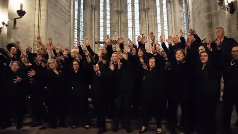VIVEIRO M&Uacute;SICA