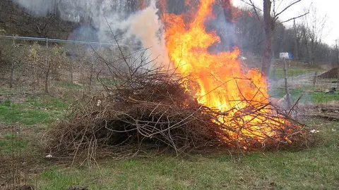 QUEMAR-EN-ZONA-FORESTAL-ASAJA-CORDOBA