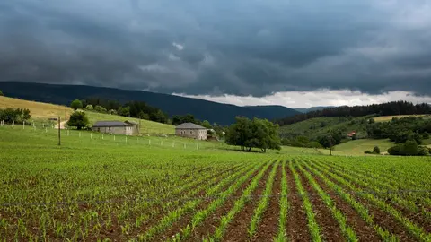 NOTICIAS AQUI DIARIO (1200 x 675 px) (64)