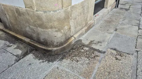 IMX O Concello de Viveiro lembra a obrigatoriedade de recoller os excrementos dos animais de compa&ntilde;&iacute;a