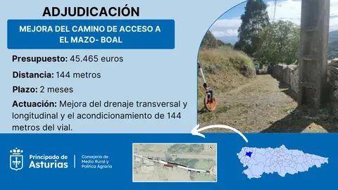 2025_07_21 Infografia Los Mazos Boal