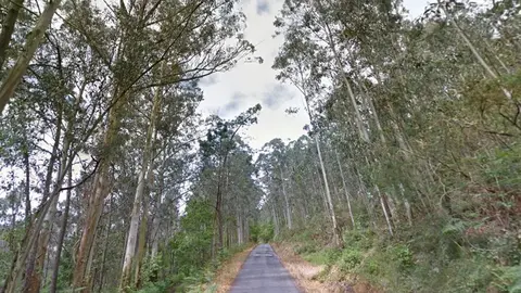 Xarias