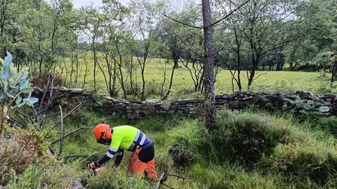 Limpieza R&iacute;os Viveiro