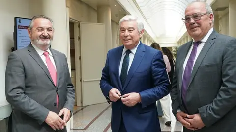Jos&eacute; Manuel Balseiro, Jos&eacute; Manuel Barreiro y Juan Serrano.