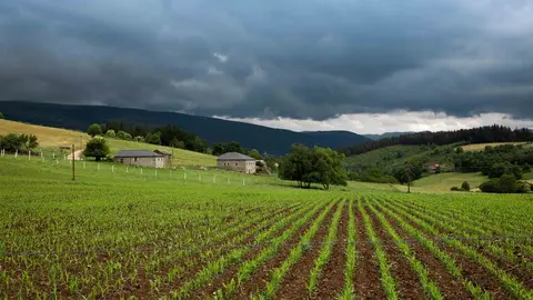 Medio rural occidente campo prado