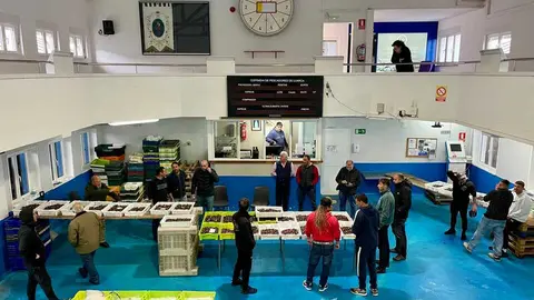 479913440_528052853639934_178293400852865736_n