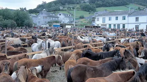 Fotograf&iacute;a - Turismo de Galicia