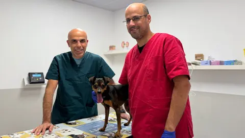 clinica veterinaria foz
