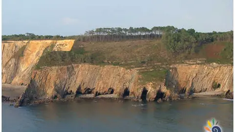 cueva06g