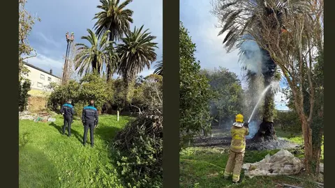 incendio palmeras ribadeo