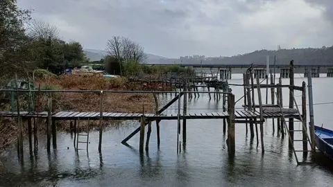 Pantanales angula Nalon1