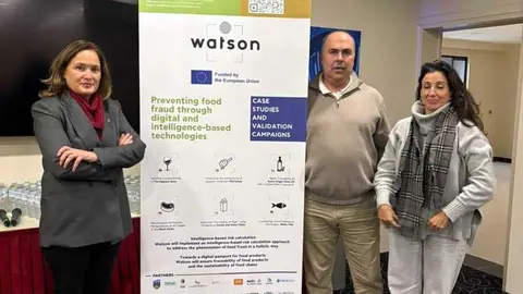 2025_11_27 presentacion conclusiones proyeto watson 2