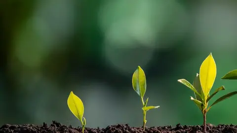 2025111020082746967