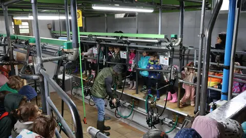 da escola &aacute; granxa
