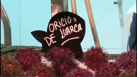 NOTICIAS AQUI DIARIO (1200 x 675 px) - 2026-02-06T203432.442