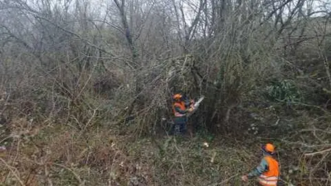Durante los trabajos
