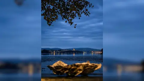 Imagen ganadora del concurso de Instagram del festival Somos la Ostra, celebrada en Castropol, en el que se reconocieron las mejores fotograf&iacute;as de esta duod&eacute;cima edici&oacute;n.