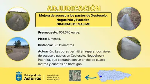 Adjudicacion Grandas de Salime