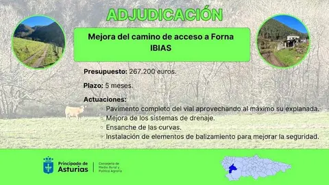 Adjudicacion Forna Ibias