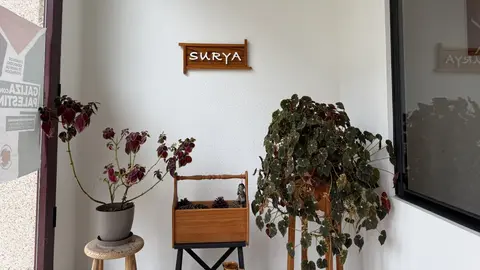 Surya foz