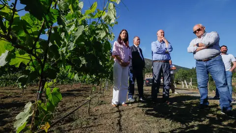 20260530_Valadouro2