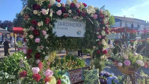 Feria Jardiner&iacute;a La Caridad RRSS