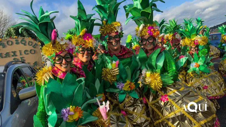 Desfile entroido de Viveiro 2026