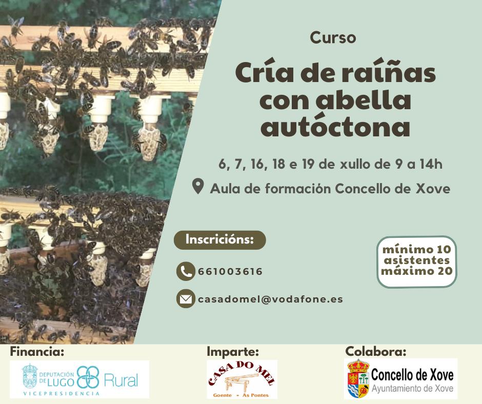 Cría de raíñas Xove 2024
